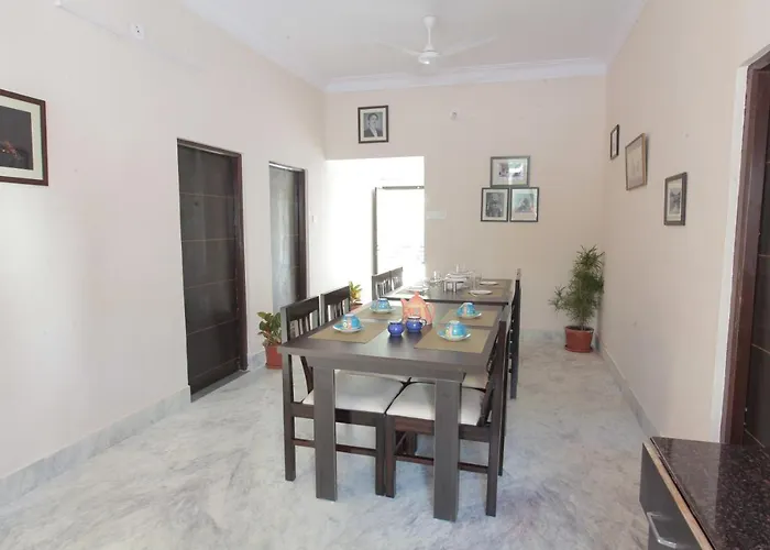 Mimosa Udaipur